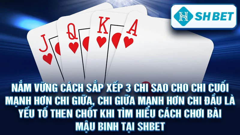Nắm vững cách sắp xếp 3 chi sao cho chi cuối mạnh hơn chi giữa, chi giữa mạnh hơn chi đầu là yếu tố then chốt khi tìm hiểu cách chơi bài mậu binh tại SHBET.