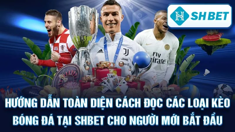 Hướng Dẫn Toàn Diện Cách Đọc Các Loại Kèo Bóng Đá Tại SHBET Cho Người Mới Bắt Đầu