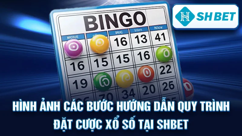 Hình ảnh các bước hướng dẫn quy trình đặt cược xổ số tại SHBET