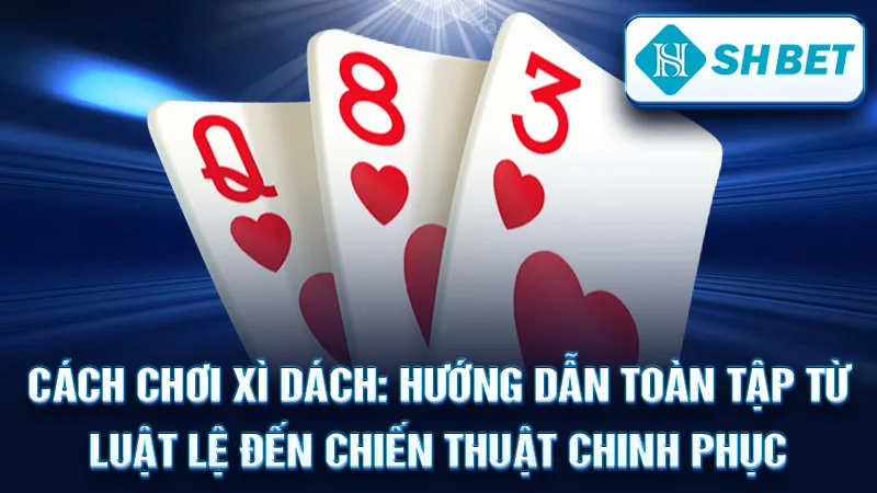 Cách Chơi Xì Dách: Hướng Dẫn Toàn Tập Từ Luật Lệ Đến Chiến Thuật Chinh Phục