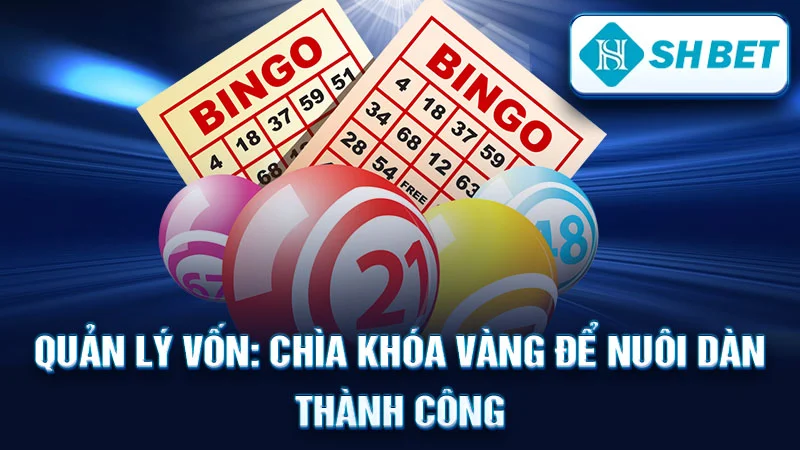 Quản Lý Vốn: Chìa Khóa Vàng Để Nuôi Dàn Thành Công