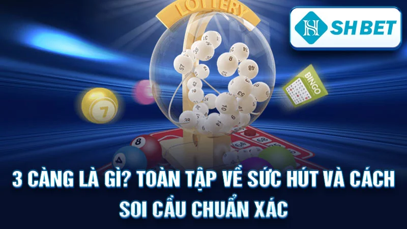 3 Càng Là Gì? Toàn Tập Về Sức Hút Và Cách Soi Cầu Chuẩn Xác