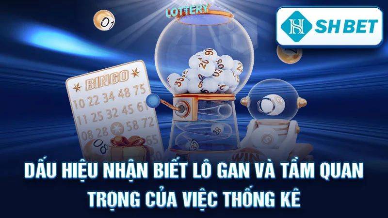 Dấu hiệu nhận biết lô gan và tầm quan trọng của việc thống kê