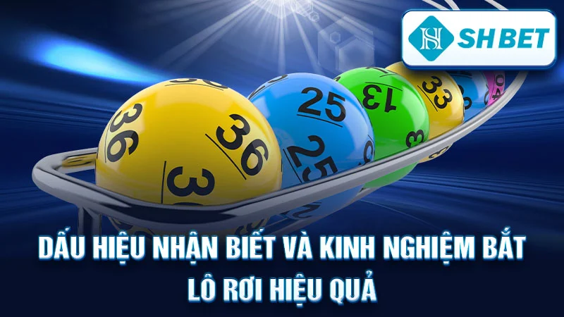 Dấu Hiệu Nhận Biết và Kinh Nghiệm Bắt Lô Rơi Hiệu Quả