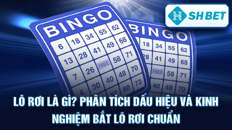 Lô Rơi Là Gì? Phân Tích Dấu Hiệu và Kinh Nghiệm Bắt Lô Rơi Chuẩn