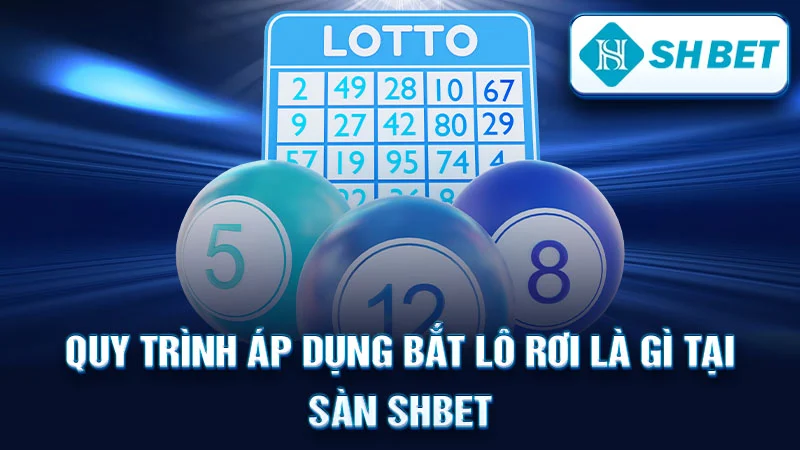 Quy Trình Áp Dụng Bắt Lô Rơi Là Gì Tại Sàn SHBET