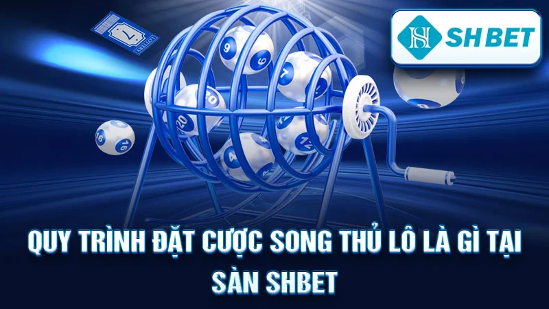 Quy Trình Đặt Cược Song Thủ Lô Là Gì Tại Sàn SHBET